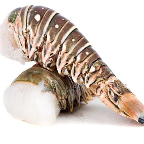 LOBSTER TAILS 7OZ EACH