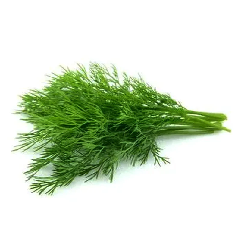 FRESH DILL PER PACK