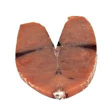 OCEAN FISHERIES MARLIN 1LB