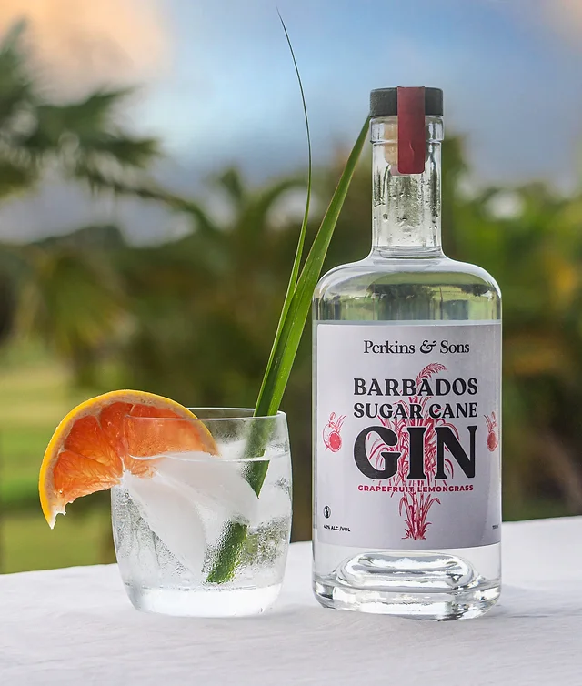 PERKIN&SONS GIN GFRUIT AND LEMONGRASS 700ml