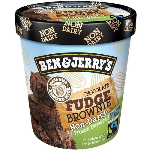 BEN & JERRY NON-DAIRY CHOCOLATE FUDGE BROWNIE 16OZ