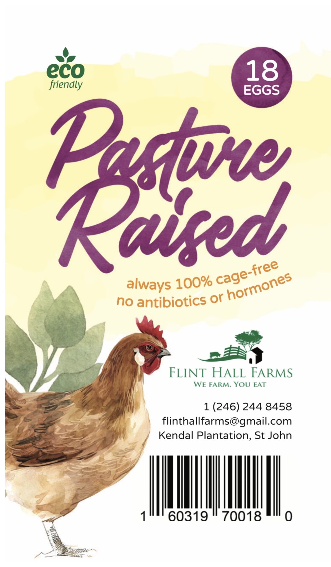 FLINT HALL FARMS PASTURE RAISED EGGS 18'S