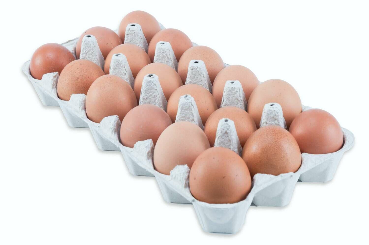 NORTHVIEW FARMS EGGS 18'S