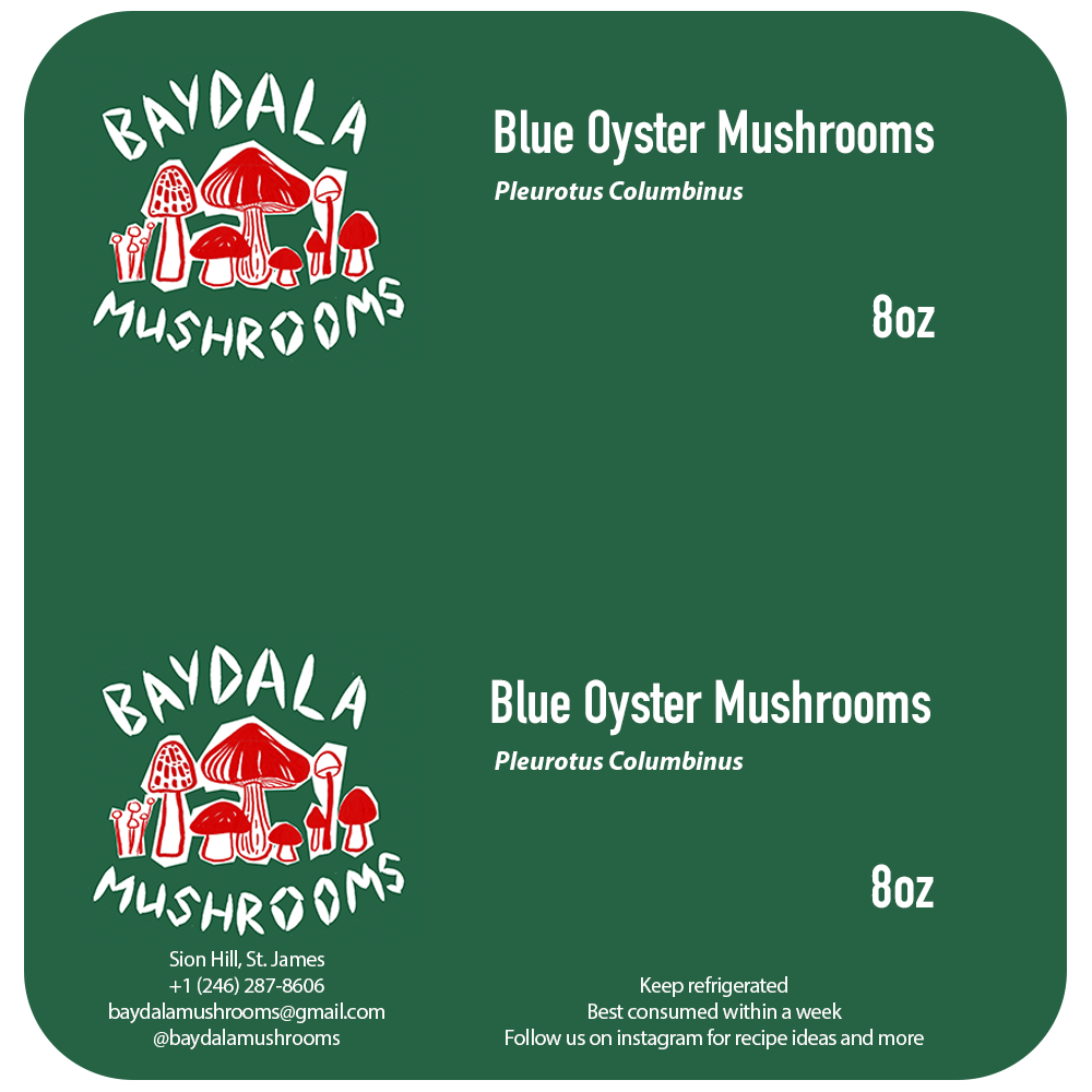 BAYDALA BLUE OYSTER MUSHROOMS 8OZ