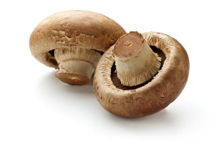 MUSHROOM CRIMINI PER KG