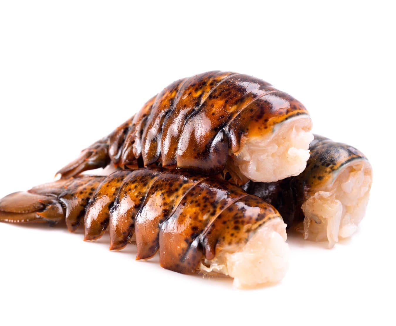 RAINFOREST 5OZ LOBSTER TAILS PER KG
