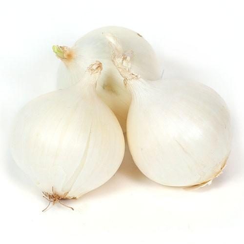 ONION WHITE PER KG