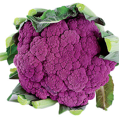 CAULIFLOWER PURPLE