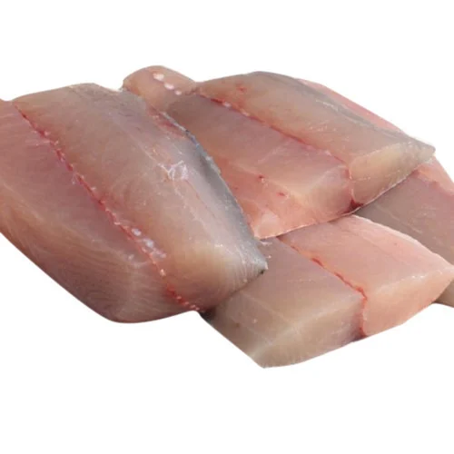 OCEAN FISHERIES DOLPHIN 1LB