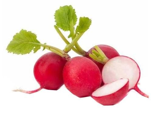 RADISH 6OZ