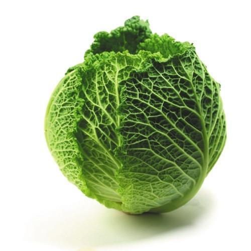 CABBAGE SAVOY PER KG