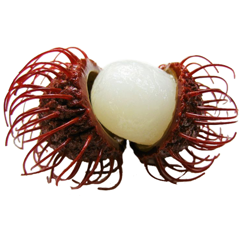 RAMBUTAN PER KG