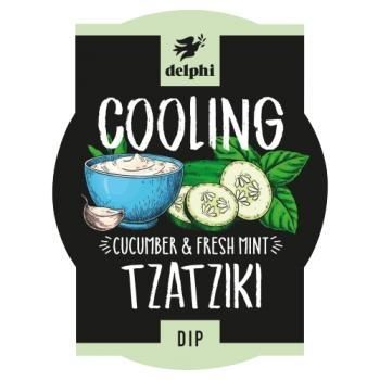 DELPHI TZATZIKI DIP 170G