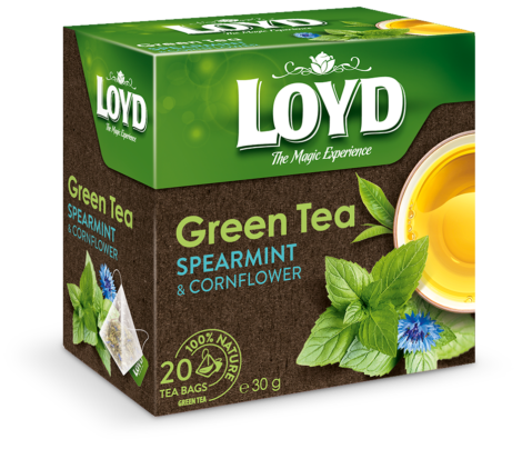 LOYD GREEN MINT TEA 20CT