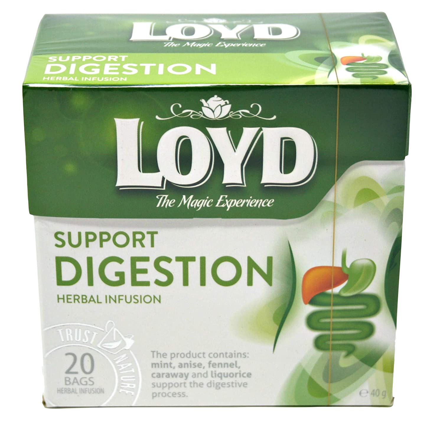 LOYD SUPPORT DIGESTION TEA 20CT