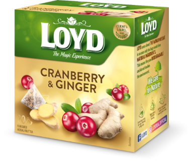 LOYD CRANBERRY & GINGER 20CT