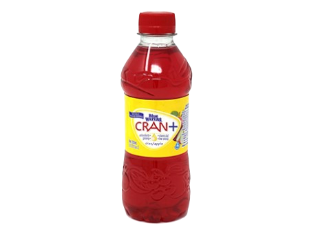 CRAN WATER APPLE 330ML