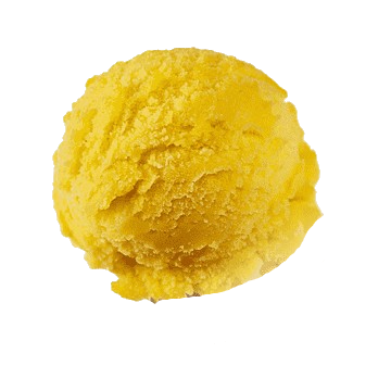 ISL FRUITS DEL MANGO SORBET 5OZ
