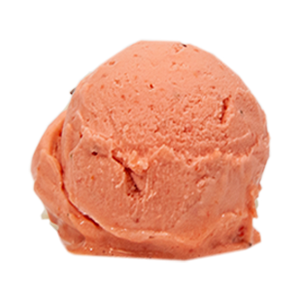 ISL FRUITS DEL GUAVA SORBET 16 OZ