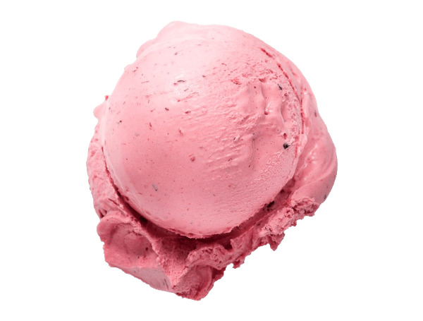 ISL FRUITS DEL SORREL SORBET 16 OZ
