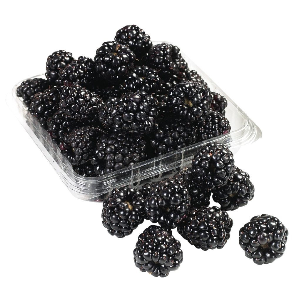 BLACKBERRIES 6 OZ