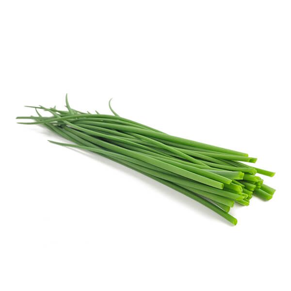 SHIRLEYS CHIVES