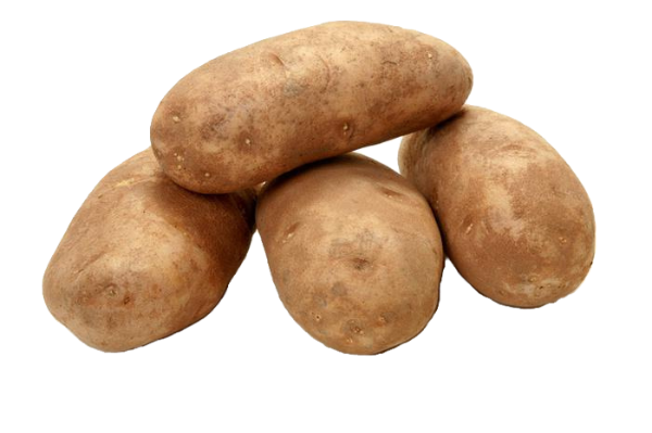 POTATO IDAHO PER KG