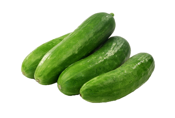 CUCUMBER PER KG