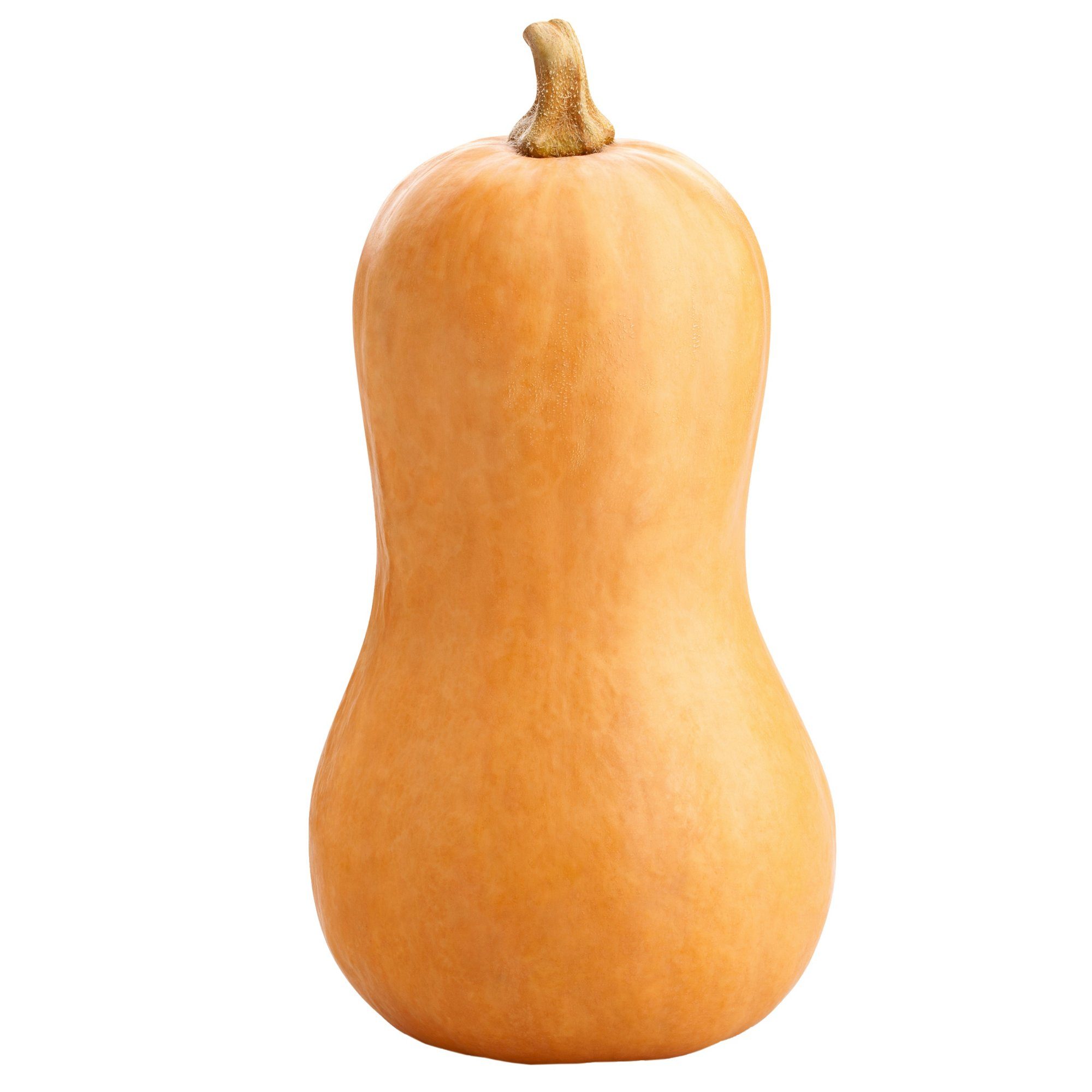 BUTTERNUT SQUASH PER KG