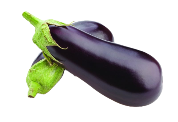 EGGPLANT PER KG