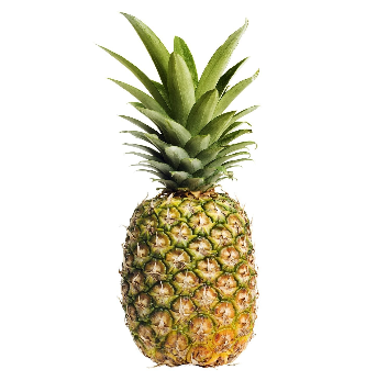 PINEAPPLE EACH