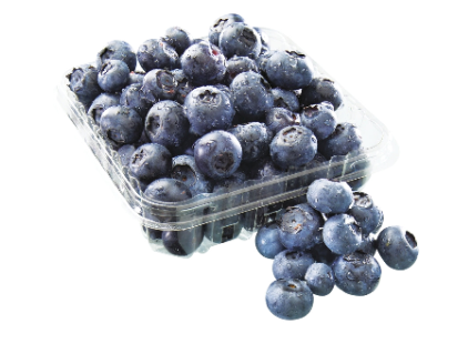 BLUEBERRY 6OZ