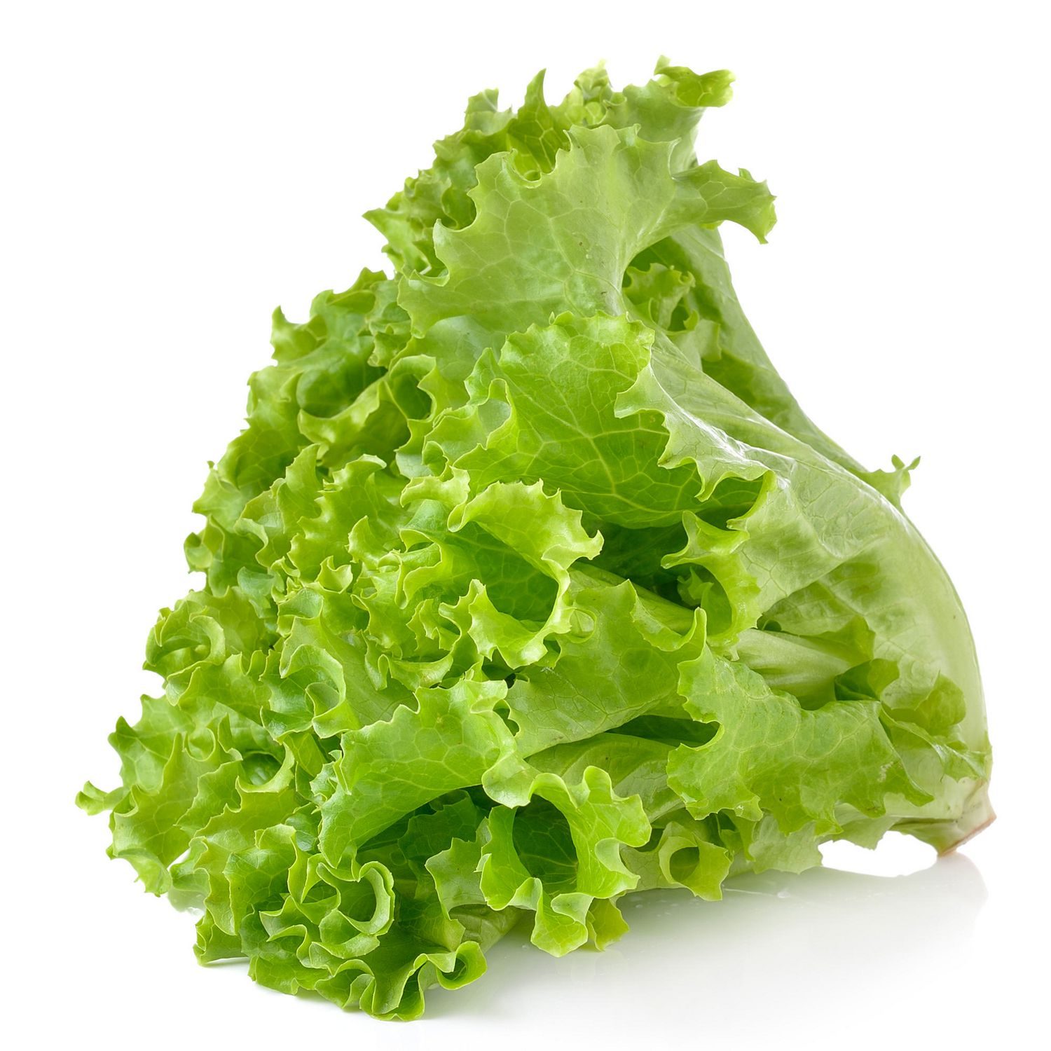 LETTUCE LOCAL