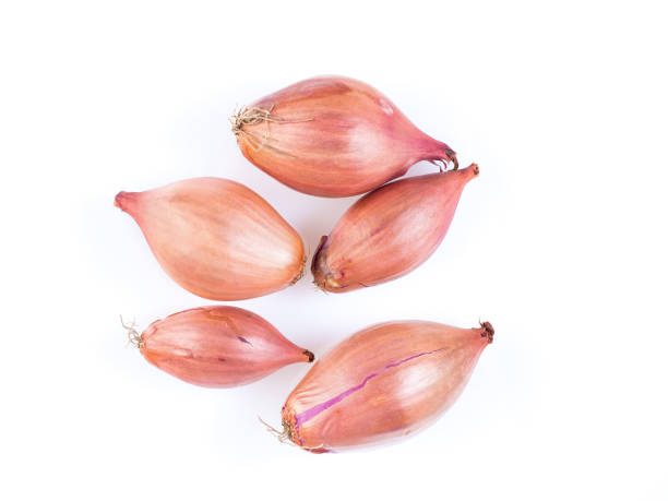 SHALLOT PER KG