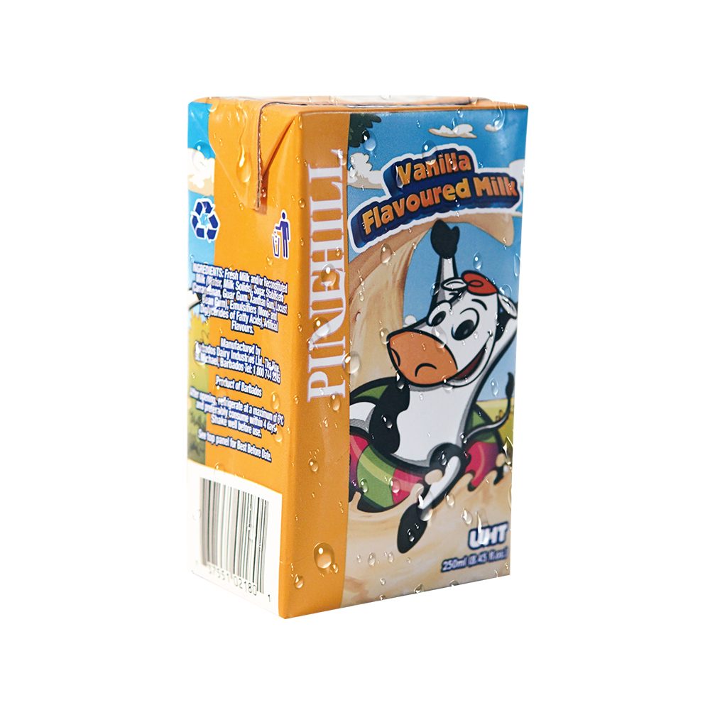 PINEHILL DAIRY VANILLA MILK 250ML