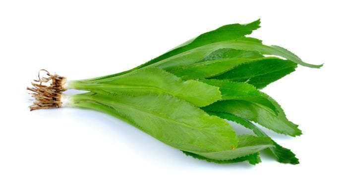 MILLFARMS CHADON BENI