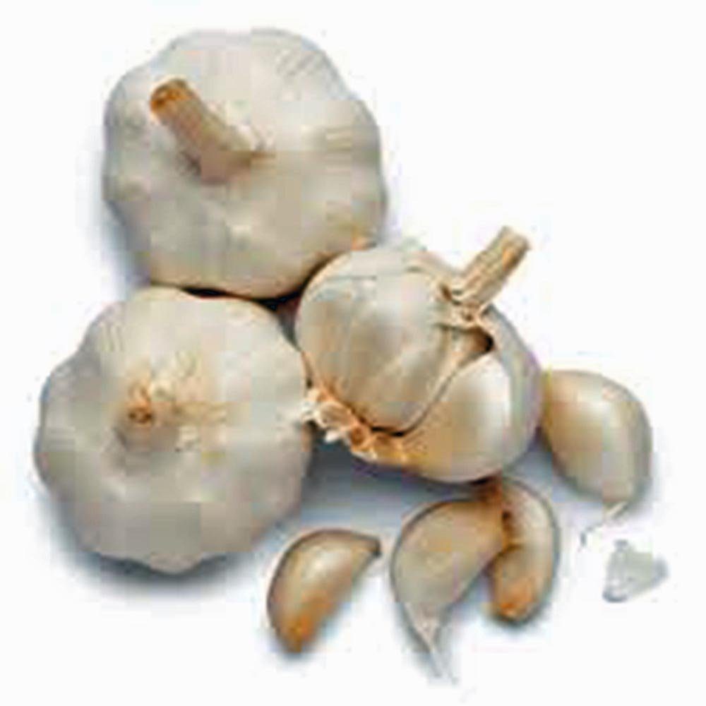 GARLIC CLOVES 5 PACK