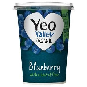 YEO VALLEY BLUEBERRY WITH LIME YOGURT 450G