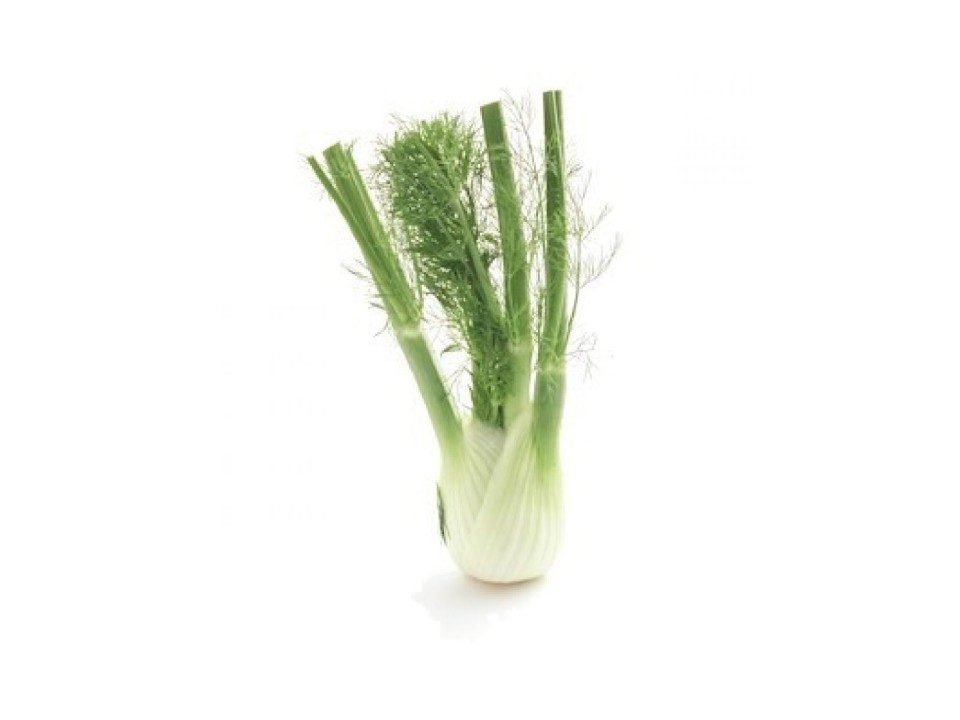 FENNEL EACH