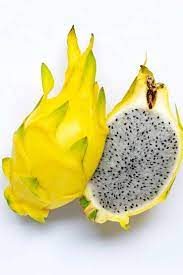DRAGONFRUIT IMPORTED YELLOW EACH