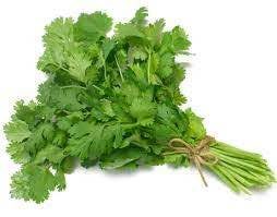 CILANTRO EA